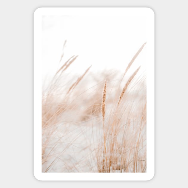 Beach grass, summer vibes Sticker by Melissa Peltenburg Travel Photography